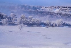 感受御道口草原森林風(fēng)景區(qū)云霧繚繞仙氣飄飄