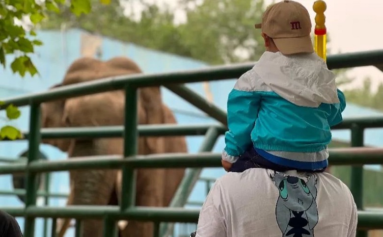 六一兒童節(jié)，14周歲以下兒童免費游秦皇島野生動物園