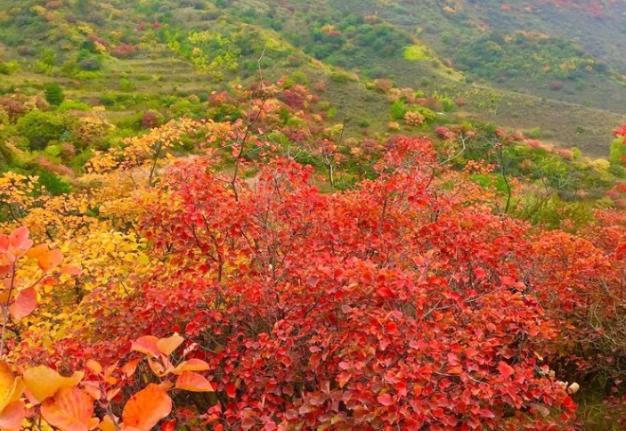 井陘風(fēng)擋山