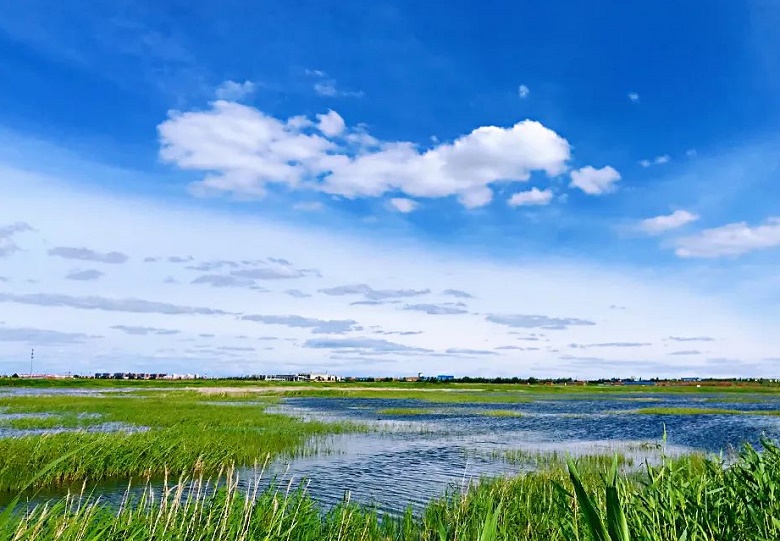 天保那蘇圖草原旅游度假區(qū)