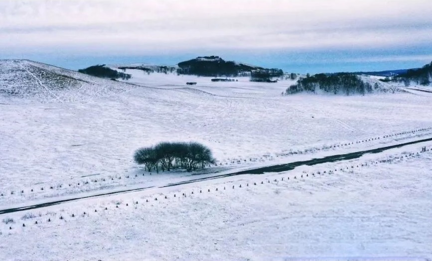 冬日仙境！御道口的冰雪奇觀  第1張