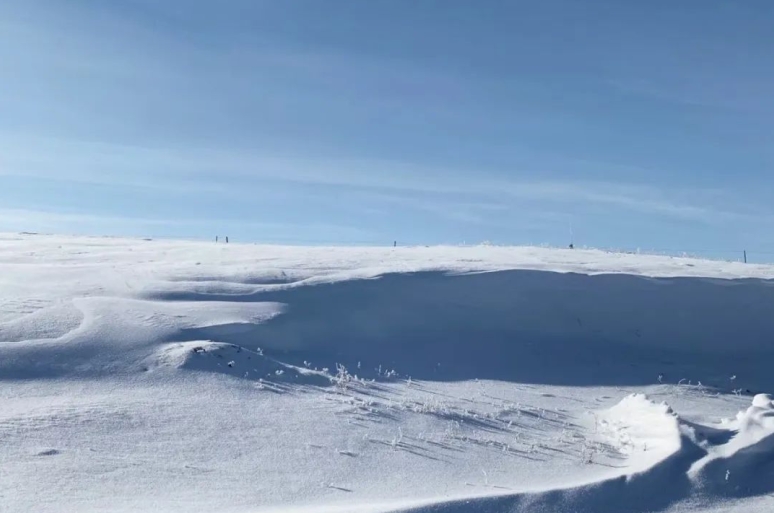 冬日仙境！御道口的冰雪奇觀  第2張