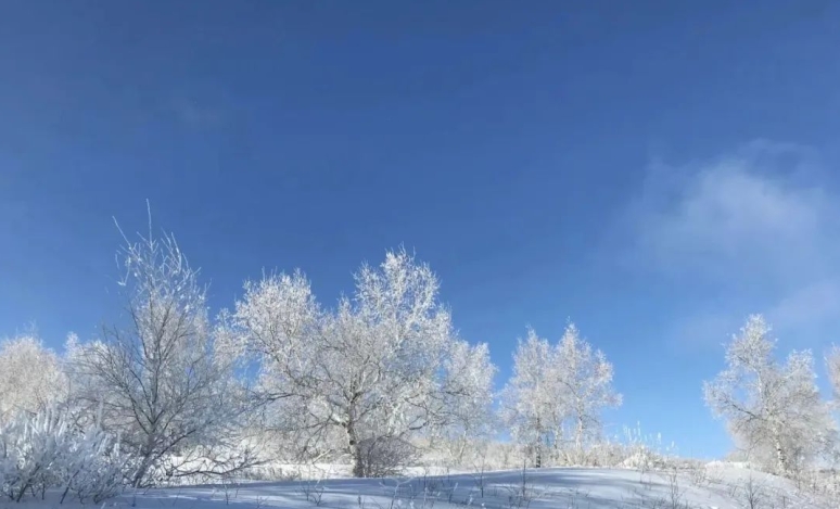 冬日仙境！御道口的冰雪奇觀  第3張