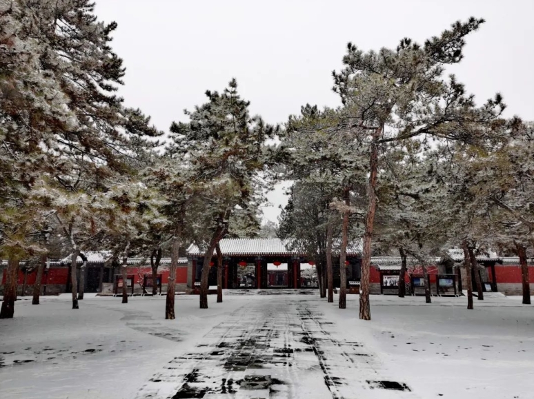 雪中避暑山莊（圖鑒）瑞雪呈祥祈新年  第15張