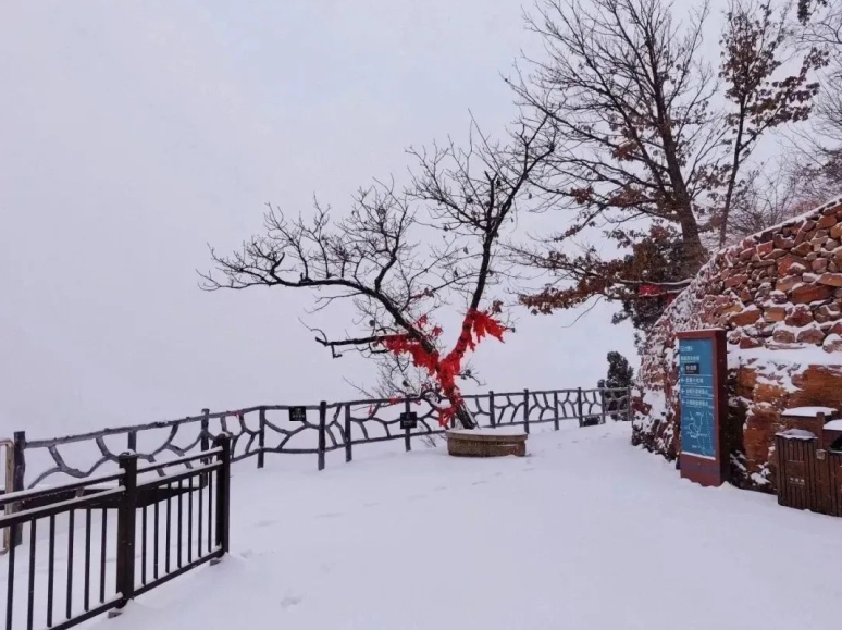 雪落山河——興隆山雪景！超美！  第3張